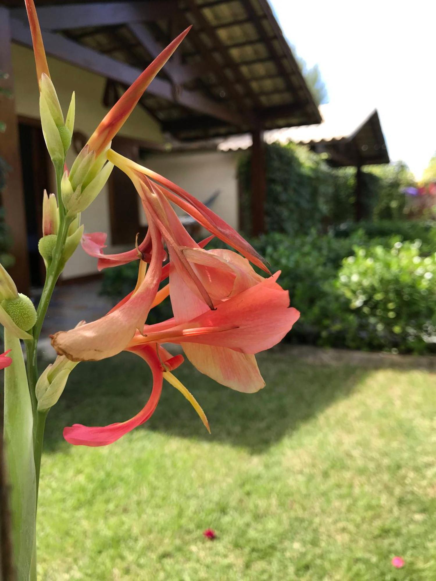 Pousada Rancho Paraiso Pôrto de Pedras Exteriör bild